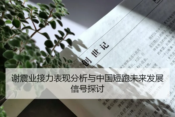 谢震业接力表现分析与中国短跑未来发展信号探讨