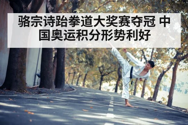 taekwondo kick