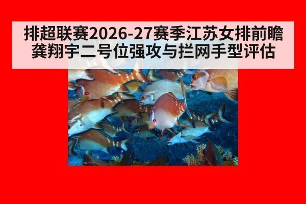 排超联赛2026-27赛季江苏女排前瞻 龚翔宇二号位强攻与拦网手型评估(FIFA 2026)