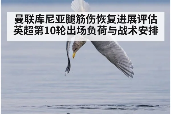 曼联库尼亚腿筋伤恢复进展评估 英超第10轮出场负荷与战术安排 | FIFA 2026